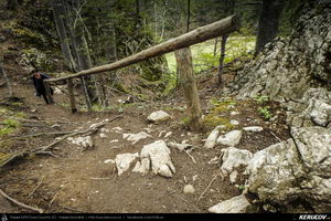 Trasee cu bicicleta MTB XC - Traseu MTB Muntii Bucegi: Sinaia - Cota 1400 - Stana Regala / Poiana Stanii - Sinaia (Schitul Sfanta Ana, Stancile Franz Joseph, Stanca Sfanta Ana, Castelul Peles) de Andrei Vocurek