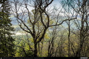 Trasee cu bicicleta MTB XC - Traseu MTB Muntii Bucegi: Sinaia - Cota 1400 - Stana Regala / Poiana Stanii - Sinaia (Schitul Sfanta Ana, Stancile Franz Joseph, Stanca Sfanta Ana, Castelul Peles) de Andrei Vocurek