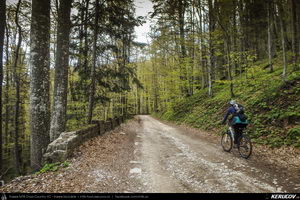 Trasee cu bicicleta MTB XC - Traseu MTB Muntii Bucegi: Sinaia - Cota 1400 - Stana Regala / Poiana Stanii - Sinaia (Schitul Sfanta Ana, Stancile Franz Joseph, Stanca Sfanta Ana, Castelul Peles) de Andrei Vocurek
