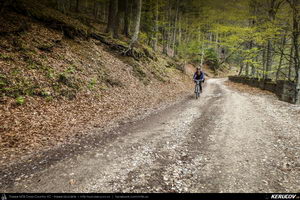 Trasee cu bicicleta MTB XC - Traseu MTB Muntii Bucegi: Sinaia - Cota 1400 - Stana Regala / Poiana Stanii - Sinaia (Schitul Sfanta Ana, Stancile Franz Joseph, Stanca Sfanta Ana, Castelul Peles) de Andrei Vocurek
