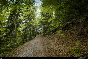 Trasee cu bicicleta MTB XC - Traseu MTB Muntii Bucegi: Sinaia - Cota 1400 - Stana Regala / Poiana Stanii - Sinaia (Schitul Sfanta Ana, Stancile Franz Joseph, Stanca Sfanta Ana, Castelul Peles) de Andrei Vocurek