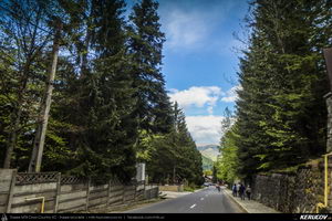 Trasee cu bicicleta MTB XC - Traseu MTB Muntii Bucegi: Sinaia - Cota 1400 - Stana Regala / Poiana Stanii - Sinaia (Schitul Sfanta Ana, Stancile Franz Joseph, Stanca Sfanta Ana, Castelul Peles) de Andrei Vocurek