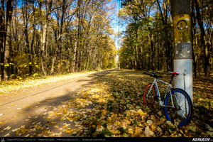 Trasee cu bicicleta MTB XC - Traseu SSP Bucuresti - Tunari - Afumati - Pasarea - Branesti - Vadu Anei - Fundeni - Cernica - Balaceanca - Popesti-Leordeni - Bucuresti de Andrei Vocurek