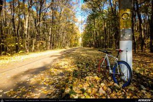 Trasee cu bicicleta MTB XC - Traseu SSP Bucuresti - Tunari - Afumati - Pasarea - Branesti - Vadu Anei - Fundeni - Cernica - Balaceanca - Popesti-Leordeni - Bucuresti de Andrei Vocurek