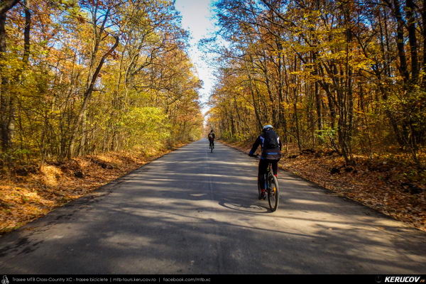 Traseu SSP Bucuresti - Calugareni - Mihai Bravu - Comana - Gradistea - 1 Decembrie - Bucuresti - KERUCOV .ro © 2007 - 2025 || #traseecubicicleta #mtb #ssp
