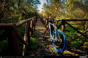 Trasee cu bicicleta MTB XC - Traseu SSP Bucuresti - Calugareni - Mihai Bravu - Comana - Gradistea - 1 Decembrie - Bucuresti de Andrei Vocurek
