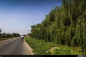 Trasee cu bicicleta MTB XC - Traseu SSP Bucuresti - Domnesti - Darvari - Bolintin-Vale - Ogrezeni - Buturugeni - Mihailesti - Bragadiru - Bucuresti de Andrei Vocurek