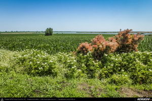 Trasee cu bicicleta MTB XC - Traseu SSP Mangalia - Krapets / Krapec - Vama Veche - Mangalia de Andrei Vocurek