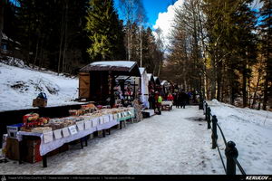 Trasee cu bicicleta MTB XC - Traseu MTB Muntii Bucegi: Busteni - Valea Cerbului - Valea Spumoasa - Poiana Tapului - Sinaia (Cascada Valea Spumoasa, Castelul Cantacuzino, Castelul Peles) de Andrei Vocurek