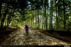 Trasee cu bicicleta MTB XC - Traseu MTB Mizil - Gura Vadului - Tohani - Jugureni - Varf - Pietroasele - Saranga - Ulmeni (Dealul Istrita) de Andrei Vocurek