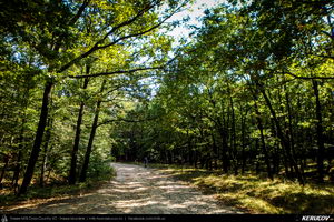 Trasee cu bicicleta MTB XC - Traseu MTB Mizil - Gura Vadului - Tohani - Jugureni - Varf - Pietroasele - Saranga - Ulmeni (Dealul Istrita) de Andrei Vocurek