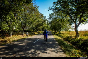 Trasee cu bicicleta MTB XC - Traseu MTB Mizil - Gura Vadului - Tohani - Jugureni - Varf - Pietroasele - Saranga - Ulmeni (Dealul Istrita) de Andrei Vocurek