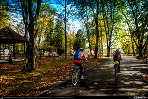Traseu SSP Breaza - Valea Tarsei - Adunati - Ocina de Jos - Izvoru - Provita de Sus - Provita de Jos - Poiana Campina - KERUCOV .ro © 2007 - 2025 || #traseecubicicleta #mtb #ssp