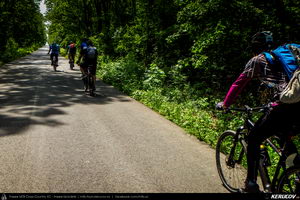 Traseu SSP Bucuresti - Colibasi - Comana - Vlad Tepes - Gradistea - 1 Decembrie - Bucuresti (bujorul de padure in Parcul Natural Comana) - KERUCOV .ro © 2007 - 2025 || #traseecubicicleta #mtb #ssp