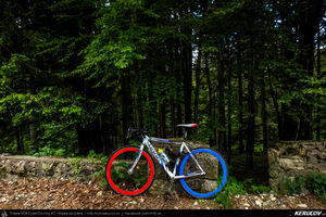 Traseu SSP Predeal - Cabana Trei Brazi - Cabana Poiana Secuilor - Predeal - KERUCOV .ro © 2007 - 2025 || #traseecubicicleta #mtb #ssp