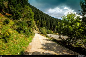 Traseu MTB Muntii Baiului: Azuga - Valea Azugii - Pasul Azuga - Valea Garcinului - Sacele - Brasov - KERUCOV .ro © 2007 - 2025 || #traseecubicicleta #mtb #ssp