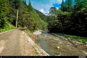 Traseu MTB Muntii Baiului: Azuga - Valea Azugii - Pasul Azuga - Valea Garcinului - Sacele - Brasov - KERUCOV .ro © 2007 - 2025 || #traseecubicicleta #mtb #ssp