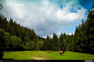 Trasee cu bicicleta MTB XC - Traseu MTB Muntii Baiului: Azuga - Valea Azugii - Pasul Azuga - Valea Garcinului - Sacele - Brasov de Andrei Vocurek
