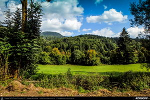 Trasee cu bicicleta MTB XC - Traseu MTB Muntii Baiului: Azuga - Valea Azugii - Pasul Azuga - Valea Garcinului - Sacele - Brasov de Andrei Vocurek