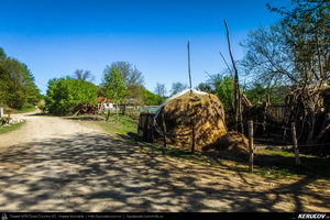 Traseu MTB Pitesti - Argeselu - Jupanesti - Retevoiesti - Domnesti - Corbi - Jgheaburi - Pitesti (Biserica de lemn din Jupanesti, Manastirea Corbii de Piatra, Cula Druganescu, Vila Micescu) - KERUCOV .ro © 2007 - 2025 || #traseecubicicleta #mtb #ssp