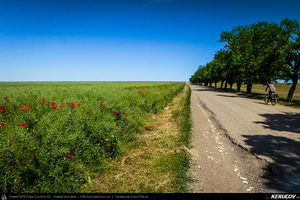 Trasee cu bicicleta MTB XC - Traseu MTB Cheile Dobrogei - Podisul Casimcei: Targusor - Gura Dobrogei - Sacele - Corbu - Navodari - Mamaia (Cheile Dobrogei, Pestera Casian, Pestera Liliecilor, Marea Neagra) de Andrei Vocurek