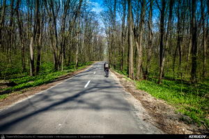 Trasee cu bicicleta MTB XC - Traseu SSP Padurea Snagov - Manastirea Snagov: Bucuresti - Tunari - Saftica - Izvorani - Silistea Snagovului - Gruiu - Moara Vlasiei - Dascalu - Bucuresti de Andrei Vocurek