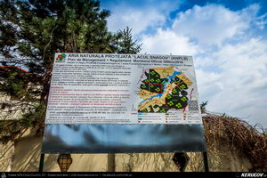 Trasee cu bicicleta MTB XC - Traseu SSP Padurea Snagov - Manastirea Snagov: Bucuresti - Tunari - Saftica - Izvorani - Silistea Snagovului - Gruiu - Moara Vlasiei - Dascalu - Bucuresti de Andrei Vocurek