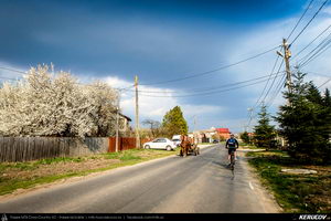 Trasee cu bicicleta MTB XC - Traseu SSP Padurea Snagov - Manastirea Snagov: Bucuresti - Tunari - Saftica - Izvorani - Silistea Snagovului - Gruiu - Moara Vlasiei - Dascalu - Bucuresti de Andrei Vocurek