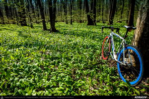Trasee cu bicicleta MTB XC - Traseu SSP Padurea Snagov - Manastirea Snagov: Bucuresti - Tunari - Saftica - Izvorani - Silistea Snagovului - Gruiu - Moara Vlasiei - Dascalu - Bucuresti de Andrei Vocurek