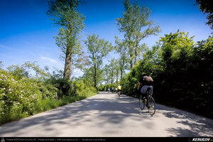 Trasee cu bicicleta MTB XC - Traseu SSP Bucuresti - Mihailesti - Iepuresti - Calugareni - 1 Decembrie - Bucuresti de Andrei Vocurek