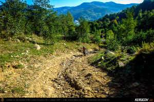 Trasee cu bicicleta MTB XC - Traseu MTB Muntii Siriu: Nehoiasu - Lunca Jaristei - Lacul Vulturilor - Nehoiu - Valea Lupului - Patarlagele - Gura Bascei de Andrei Vocurek