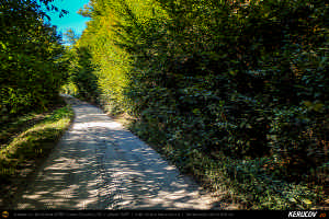 Trasee cu bicicleta MTB XC - Traseu MTB Muntii Siriu: Nehoiasu - Lunca Jaristei - Lacul Vulturilor - Nehoiu - Valea Lupului - Patarlagele - Gura Bascei de Andrei Vocurek