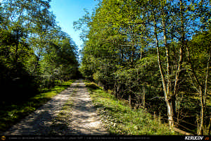 Trasee cu bicicleta MTB XC - Traseu MTB Muntii Siriu: Nehoiasu - Lunca Jaristei - Lacul Vulturilor - Nehoiu - Valea Lupului - Patarlagele - Gura Bascei de Andrei Vocurek