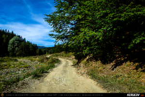 Trasee cu bicicleta MTB XC - Traseu MTB Muntii Siriu: Nehoiasu - Lunca Jaristei - Lacul Vulturilor - Nehoiu - Valea Lupului - Patarlagele - Gura Bascei de Andrei Vocurek