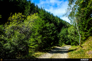Trasee cu bicicleta MTB XC - Traseu MTB Muntii Siriu: Nehoiasu - Lunca Jaristei - Lacul Vulturilor - Nehoiu - Valea Lupului - Patarlagele - Gura Bascei de Andrei Vocurek