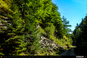 Trasee cu bicicleta MTB XC - Traseu MTB Muntii Siriu: Nehoiasu - Lunca Jaristei - Lacul Vulturilor - Nehoiu - Valea Lupului - Patarlagele - Gura Bascei de Andrei Vocurek