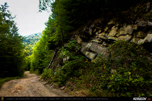 Trasee cu bicicleta MTB XC - Traseu MTB Muntii Siriu: Nehoiasu - Lunca Jaristei - Lacul Vulturilor - Nehoiu - Valea Lupului - Patarlagele - Gura Bascei de Andrei Vocurek