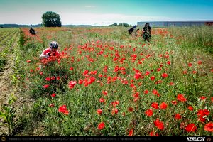 Trasee cu bicicleta MTB XC - Traseu SSP Bucuresti - Calugareni - Singureni - Stalpu - Mihailesti - Bucuresti de Andrei Vocurek