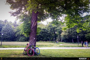 Trasee cu bicicleta MTB XC - Traseu SSP Bucuresti - Rosu - Chiajna - Bacu - Joita - Sabareni - Chitila - Mogosoaia - Bucuresti * de Andrei Vocurek