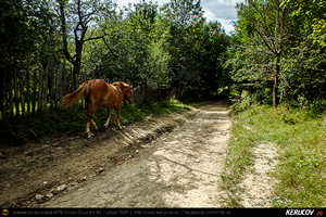 Trasee cu bicicleta MTB XC - Traseu MTB Poienile - Patarlagele - Colti - Ulmet - Bozioru - Muscelu-Caramanesti - Valea Sibiciului - Poienile: Babele de la Ulmet / trovanti de Andrei Vocurek