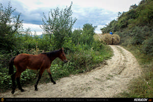 Trasee cu bicicleta MTB XC - Traseu MTB Poienile - Patarlagele - Colti - Ulmet - Bozioru - Muscelu-Caramanesti - Valea Sibiciului - Poienile: Babele de la Ulmet / trovanti de Andrei Vocurek