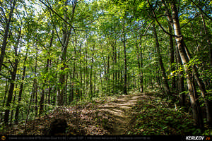 Trasee cu bicicleta MTB XC - Traseu MTB Poienile - Patarlagele - Colti - Ulmet - Bozioru - Muscelu-Caramanesti - Valea Sibiciului - Poienile: Babele de la Ulmet / trovanti de Andrei Vocurek