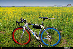 Trasee cu bicicleta MTB XC - Traseu SSP Bucuresti - Alunisu - 1 Decembrie - Darasti-Vlasca - Pruni - Dumitrana - Magurele - Bucuresti de Andrei Vocurek