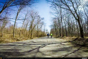 Trasee cu bicicleta MTB XC - Traseu MTB Campina - Telega - Mislea - Scorteni - Bordeni - Tiparesti - Valcanesti - Cosminele - Poiana Trestiei - Bustenari - Doftana - Campina de Andrei Vocurek