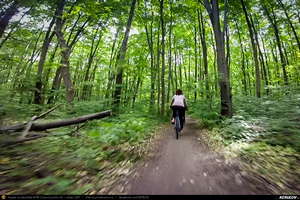 Trasee cu bicicleta MTB XC - Traseu SSP Bucuresti - Baneasa - Mogosoaia - Buftea - Tamasi - Corbeanca - Balotesti - Dimieni - Tunari - Bucuresti: O pedala prin Padurea Baneasa de Andrei Vocurek