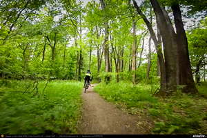 Trasee cu bicicleta MTB XC - Traseu SSP Bucuresti - Baneasa - Mogosoaia - Buftea - Tamasi - Corbeanca - Balotesti - Dimieni - Tunari - Bucuresti: O pedala prin Padurea Baneasa de Andrei Vocurek