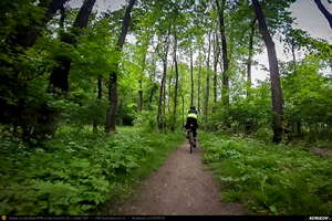 Trasee cu bicicleta MTB XC - Traseu SSP Bucuresti - Baneasa - Mogosoaia - Buftea - Tamasi - Corbeanca - Balotesti - Dimieni - Tunari - Bucuresti: O pedala prin Padurea Baneasa de Andrei Vocurek