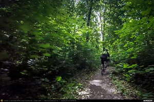 Trasee cu bicicleta MTB XC - Traseu SSP Bucuresti - Baneasa - Mogosoaia - Buftea - Tamasi - Corbeanca - Balotesti - Dimieni - Tunari - Bucuresti: O pedala prin Padurea Baneasa de Andrei Vocurek