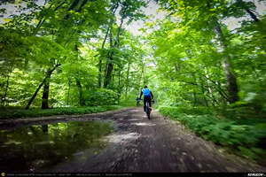 Trasee cu bicicleta MTB XC - Traseu SSP Bucuresti - Baneasa - Mogosoaia - Buftea - Tamasi - Corbeanca - Balotesti - Dimieni - Tunari - Bucuresti: O pedala prin Padurea Baneasa de Andrei Vocurek