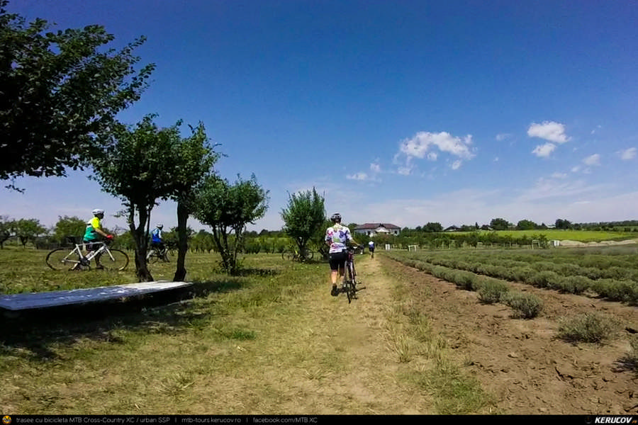 Traseu SSP Bucuresti - Jilava - Magurele - Clinceni - Domnesti - Tantava - Zorile - Hobaia - Ogrezeni - Podisor si retur (Livada cu Lavanda) - KERUCOV .ro © 2007 - 2025 || #traseecubicicleta #mtb #ssp